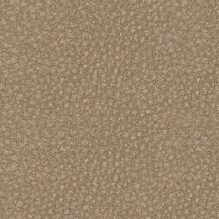 61004/46/57/58/62/77 : 61004S5