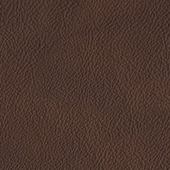 Modern Day 3-Piece Sectional with Chaise