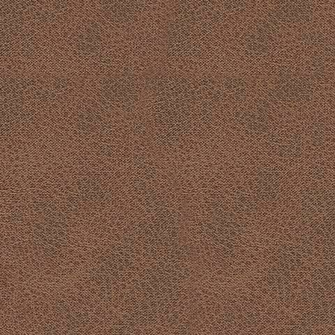 27704/55/67 : 27704S1