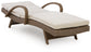Ashley Express - Revare Beach Chaise Lounge with Cushion