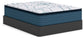 Ashley Express - Limited Edition Plush PT 3.0 Queen Mattress