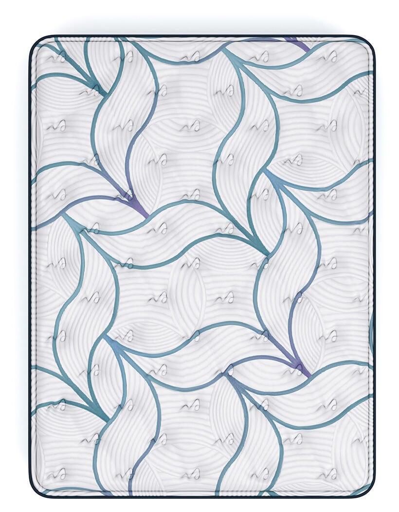 Ashley Express - Limited Edition Plush PT 3.0 Queen Mattress