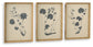 Ashley Express - Huddwick Wall Art Set (3/CN)