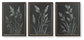 Ashley Express - Janisburg Wall Art Set (3/CN)