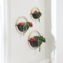 Load image into Gallery viewer, Ashley Express - Tobins Wall Planter Set (3/CN)
