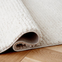 Load image into Gallery viewer, Ashley Express - Sethmond Medium Rug
