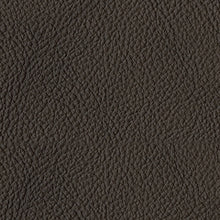 Load image into Gallery viewer, Luigi Sofa and Loveseat
