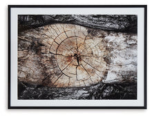 Load image into Gallery viewer, Ashley Express - Freyburn Wall Art
