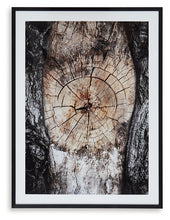 Load image into Gallery viewer, Ashley Express - Freyburn Wall Art
